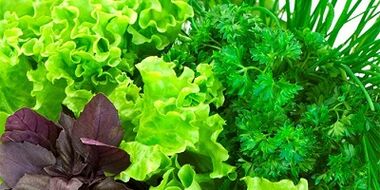 Verde para aumentar a potencia nos homes