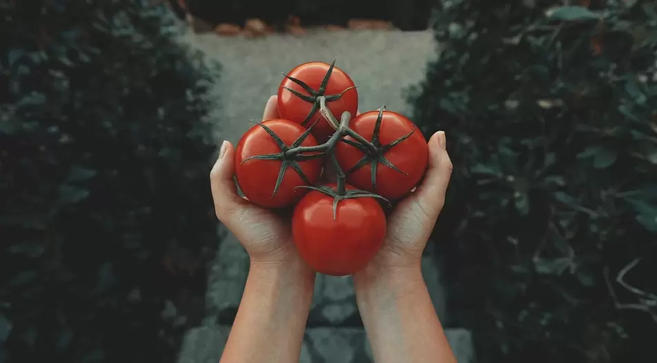 Tomates para potenciar