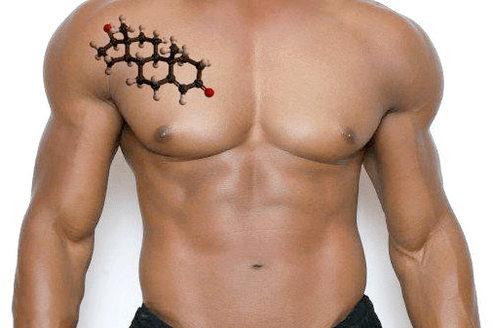 torso masculino guapo